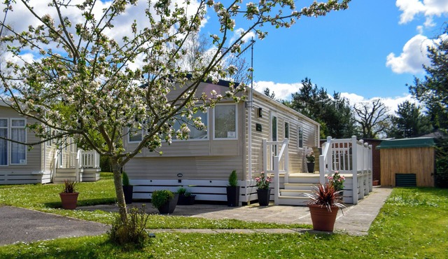 The Dorset Coast - A Home Away From Home