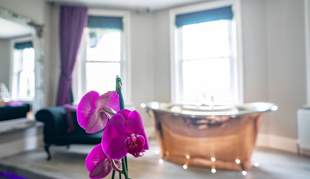 The Dower House Hotel