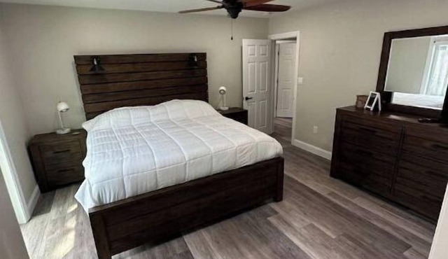 The Downtown Darling