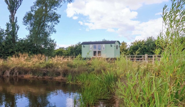 THE DRAGONFLY, romantic, with a garden in Hornsea