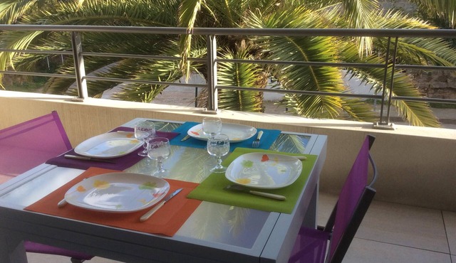 THE DREAM appart 7 pers on the beach feet in the water WIFI