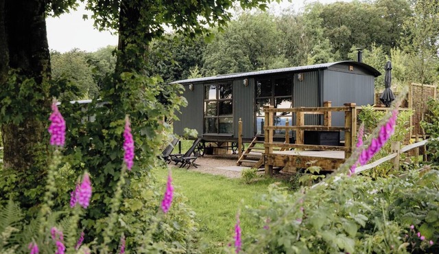 The Drey, a Stunning Cumbrian Shepherd’s Hut