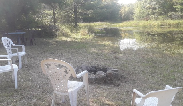 The Duck Pond (BYO tent camp) - very private, pet friendly, max 8 people/4 tents