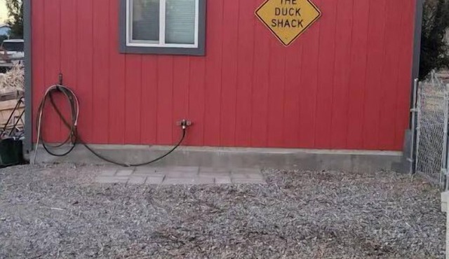 The Duck Shack