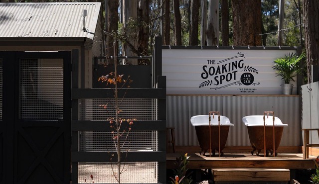 The Duckling quintessential bush retreat set amongst towering gums. One bedroom - dog friendly