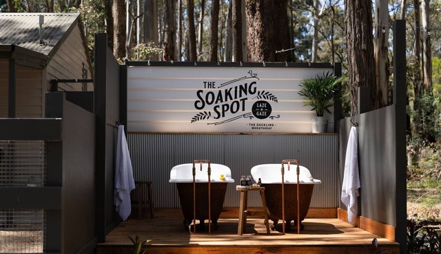 The Duckling, tucked among the towering gum trees