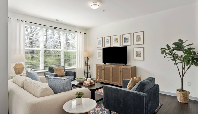 The Duke of Dublin | 1st Floor/ADA | Nature Views