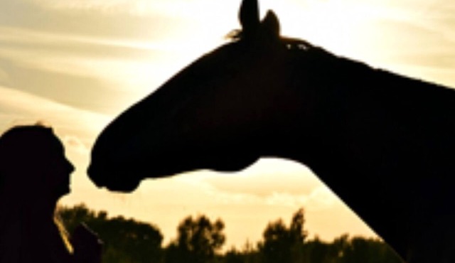 The Dutchy is a Dutch Barn Conversion