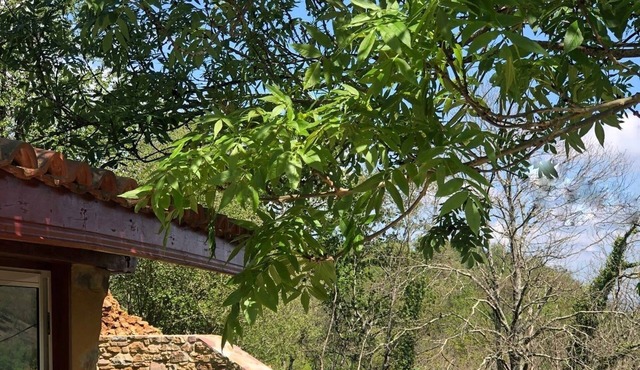 The Erdikoborda sheepfold, in the heart of the Basque Country
