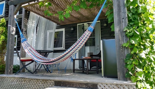 The Eagle's Landing on Minamkeak Lake