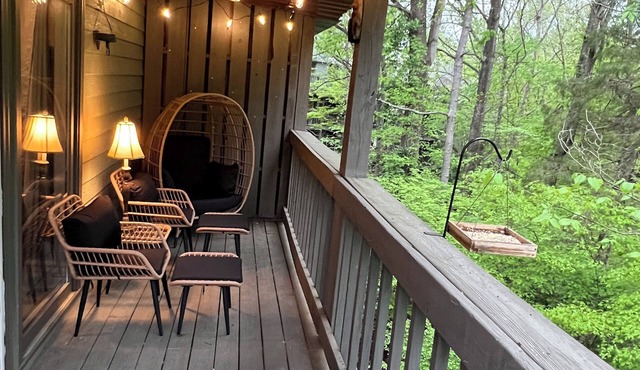 The Eagle's Nest & Bird Watching