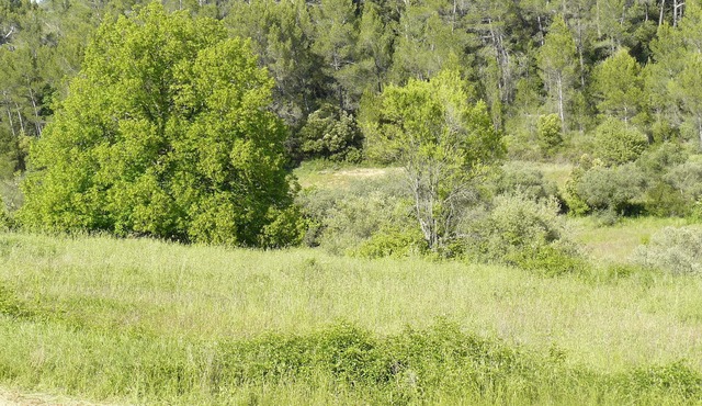 The Ecological Mazet of the Garden of Wonder