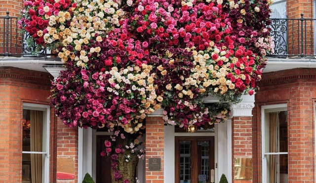 The Egerton House Hotel