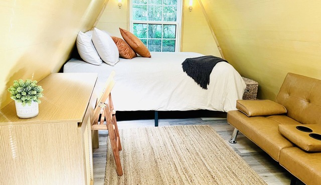 The EH Frame with Tree Pod in the woods!