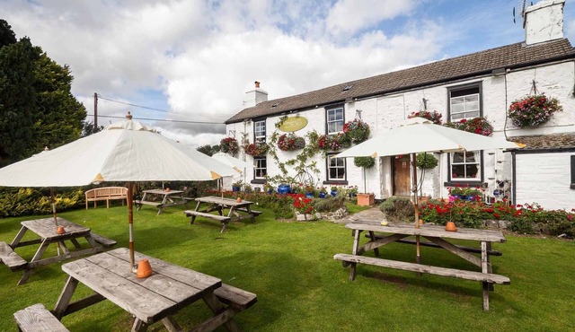 The Elephant's Nest Inn