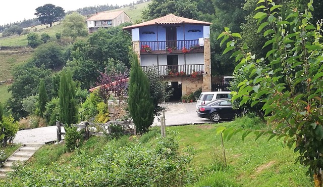 The enchanted forest Cantabria