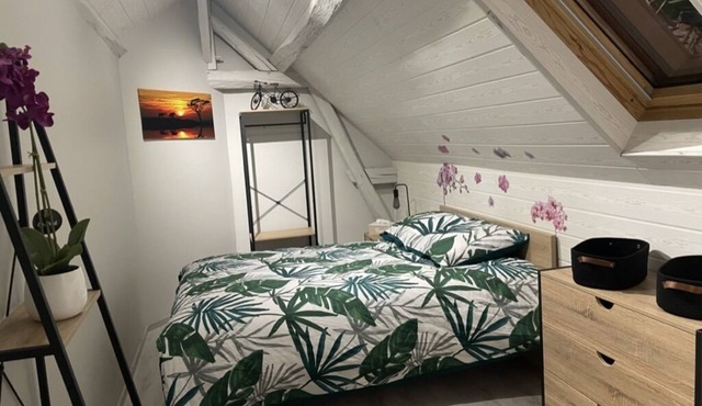 The Enchanting Stopover in Auxerre