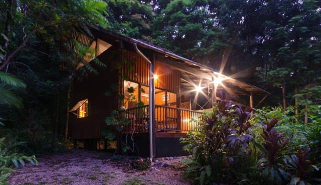 The Epiphyte Bed & Breakfast