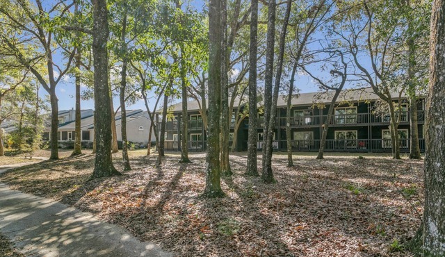 The Escape at the Ravines |King Studio w/Daybed |Full Kitchen |Dogs Ok |Screened Porch |Wooded Views
