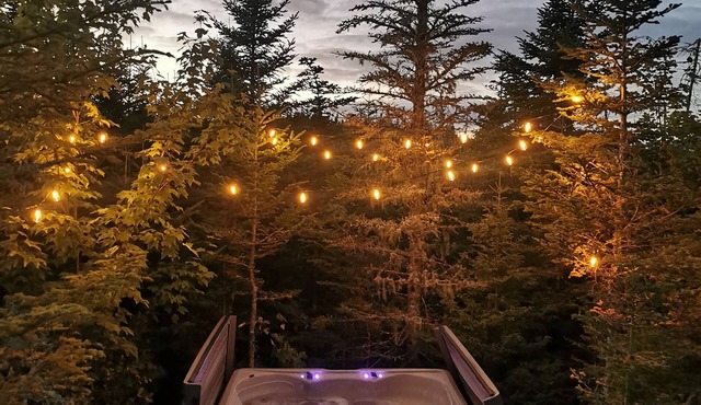 "The Eyrie" Your private Ocean View apartment