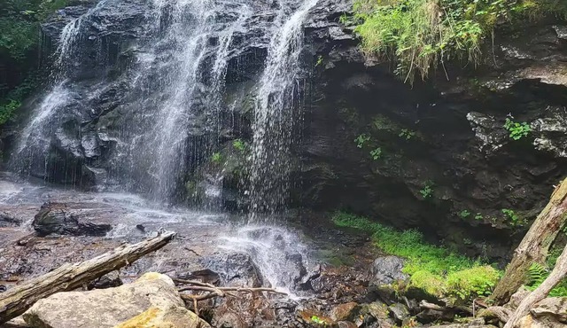 The Falls at Andrews 3 Bedroom