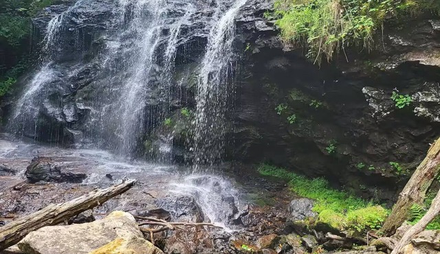 The Falls at Andrews 4 Bedroom