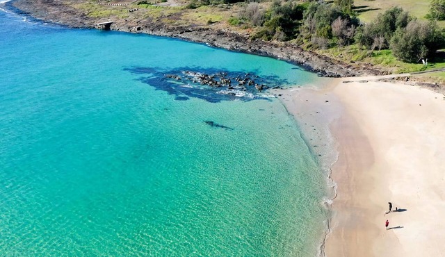 The Family Fishing Lodge