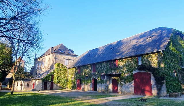 THE FAMILY HOME. Large 19th-century house 3 minutes from GOUFFRE DE PADIRAC (sleeps 10)