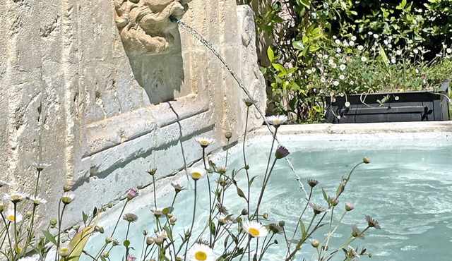 The famous "Le Petit Chateau Salernes"