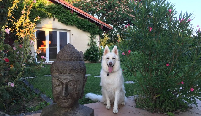 The Farm Buddhas, near Dax, 40mn Seignosse/Bayonne, sleeps 4-6