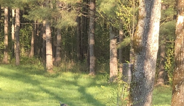 The Farm. Heaven on earth.