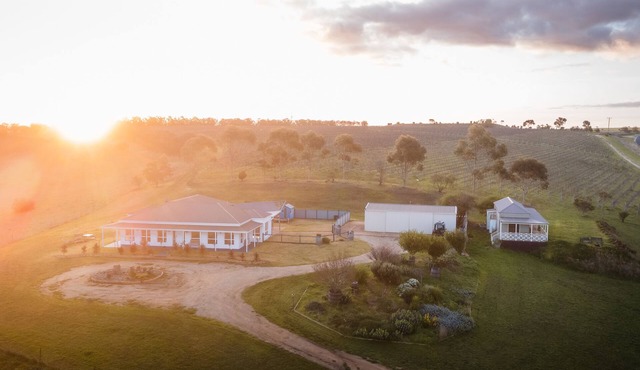 The Farmhouse At Harry Scotts Vineyard. The Views!