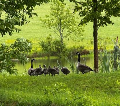 The Farmhouse at Deer Run
