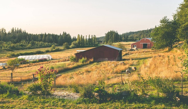 The Farmhouse Suite near Port Townsend, WA
