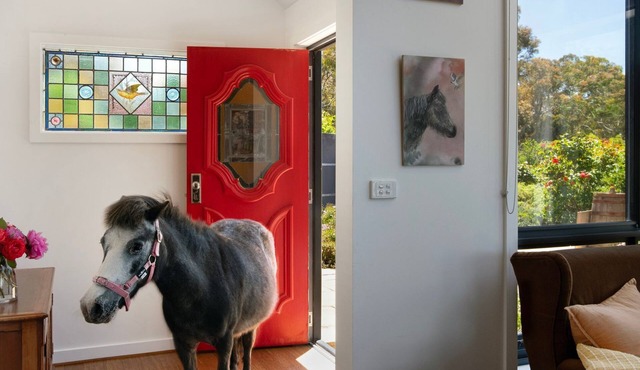 The Fat Pony Lodge Farm stay close to Daylesford