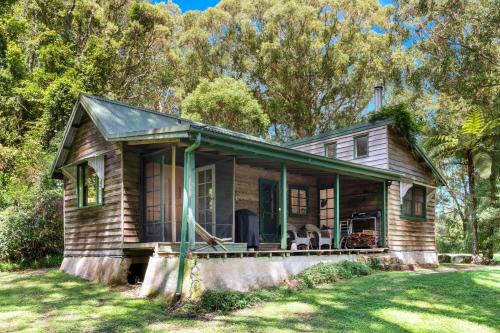 The Fernery at Red Dog Retreat