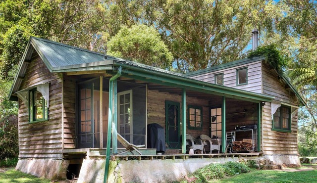 The Fernery @ Red Dog Retreat