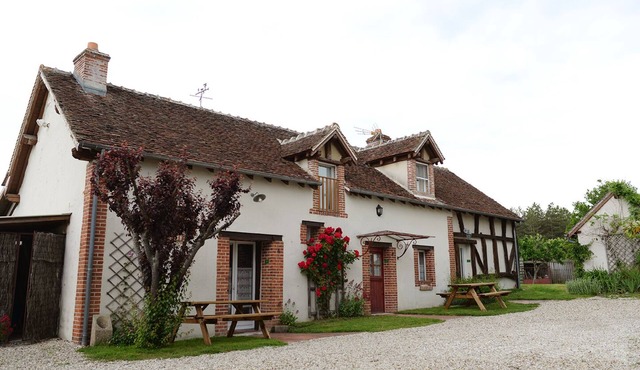 the ferns of the nigaudière 123sologne between beauval and the castles