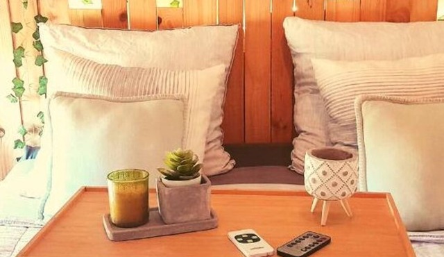 The field of strawberries