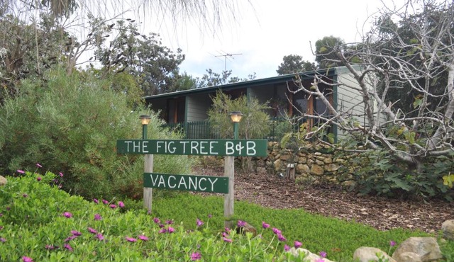 The Fig Tree B&B