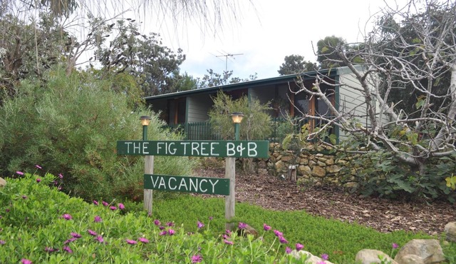 The Fig Tree B & B
