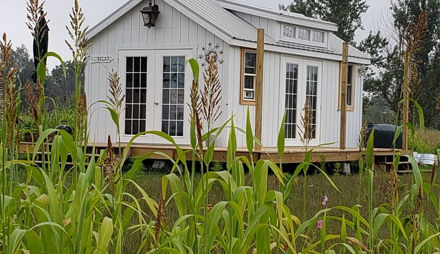 The Firefly stargazer, garden studio. View the night sky from your bed.