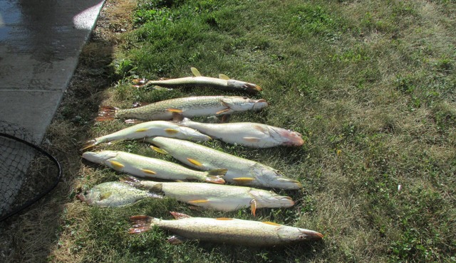 The Fish House-Available for short term rental. Located in the heart of the