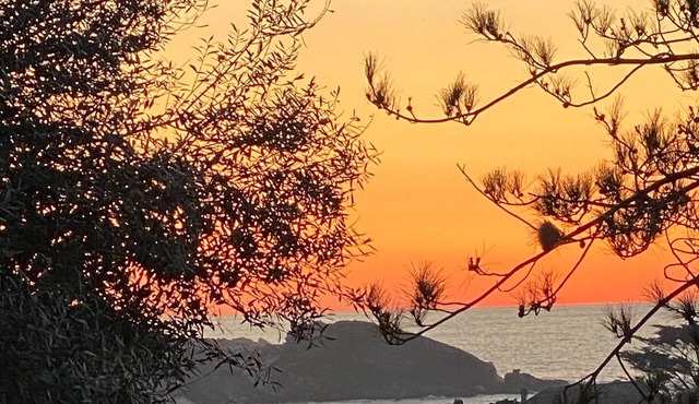 The fisherman's house