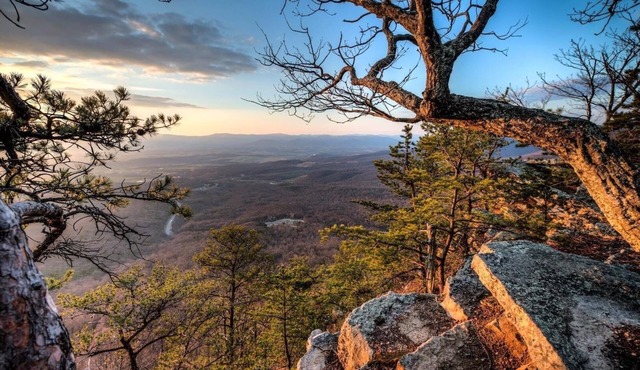The Flat at Fort Lynne- Charming Countryside Flat minutes from Downtown Harrisonburg