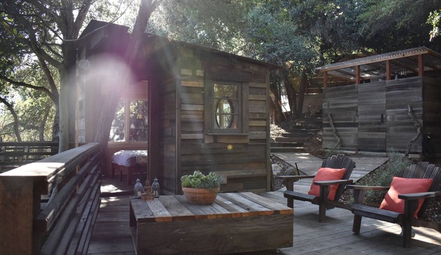 The Flying Pig Treehouse Oasis