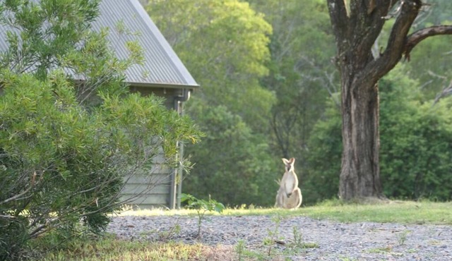 The Folly is a beautiful 2 bedroom holiday home with a log fire and fire pit.