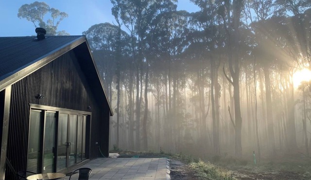 The Forest House: A Tranquil House Among the Trees