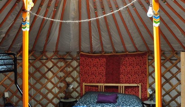 The Forest Yurt at Cabot Shores Wilderness Resort