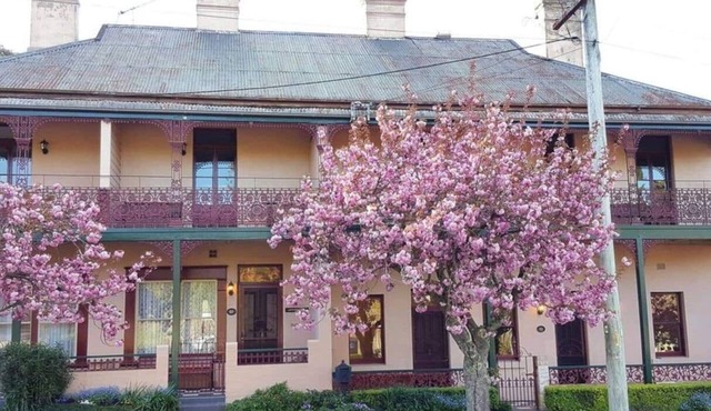 The Foyle - Mount Victoria